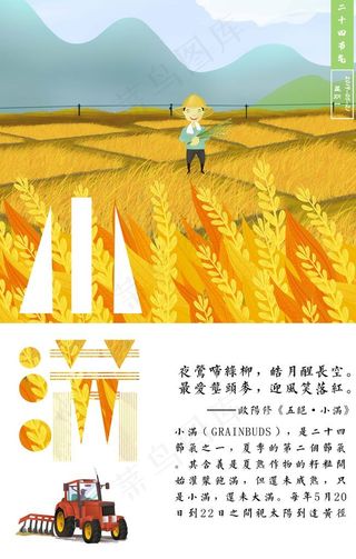 小满节气海报图片