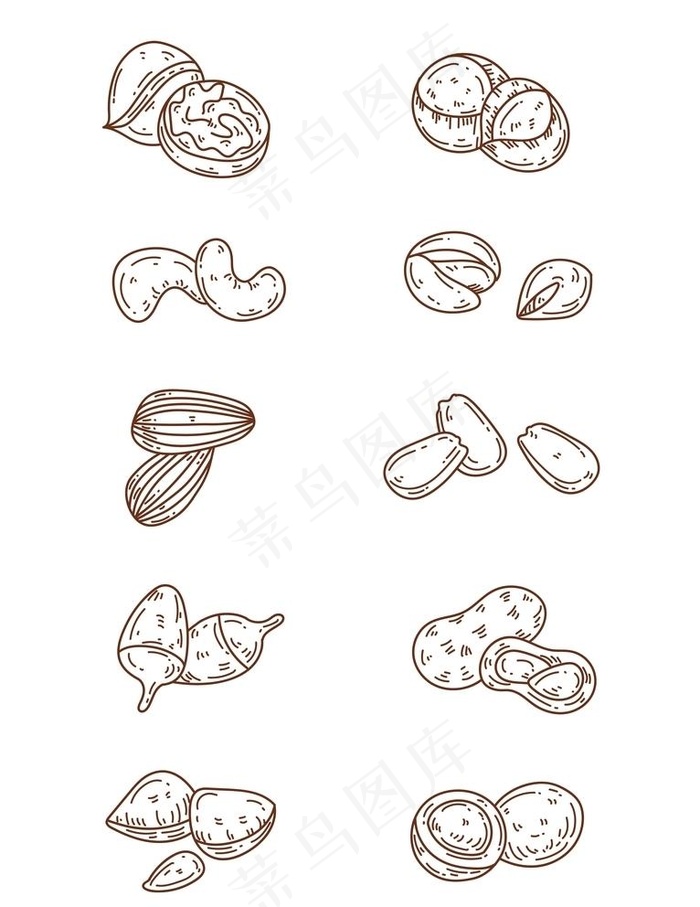 手绘瓜子坚果种类图片