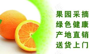 水果名片图片