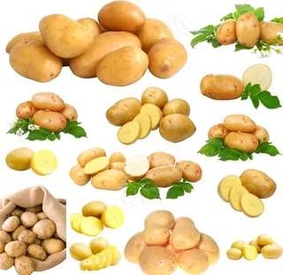 土豆图片
