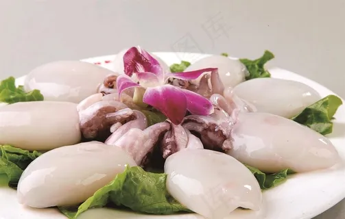 墨鱼仔图片 墨鱼仔图片