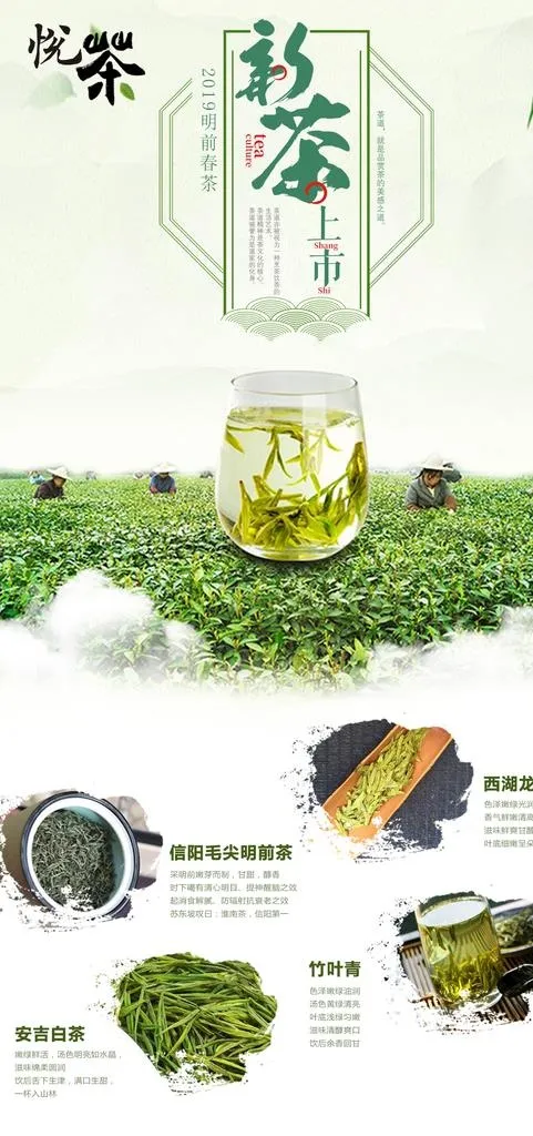 新茶上市图片psd模版下载