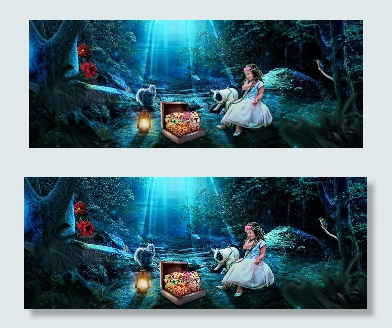 梦幻森林图片