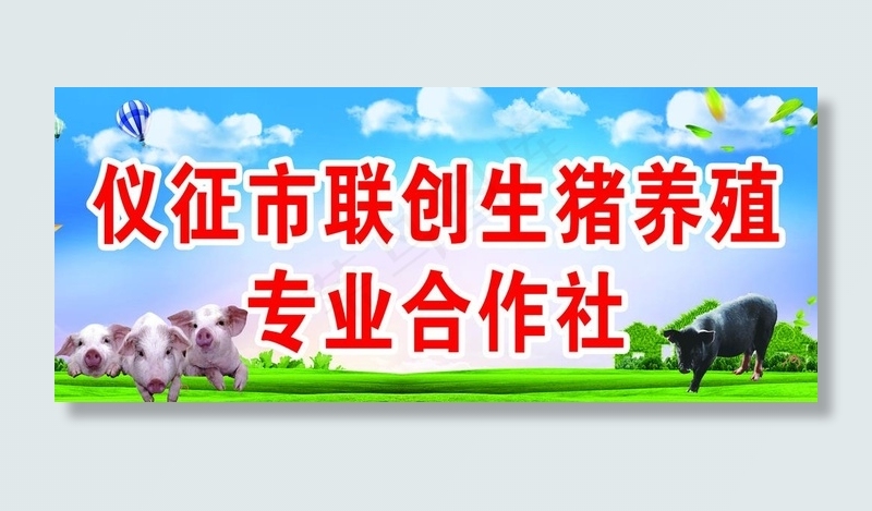 养猪合作社  蓝天猪图片