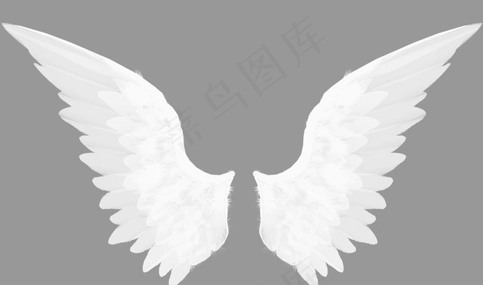 翅膀图片