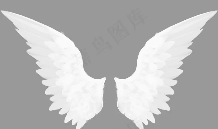 翅膀图片psd模版下载