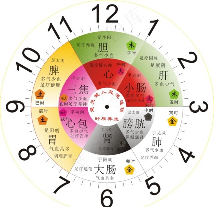 子午流注钟图片cdr矢量模版下载