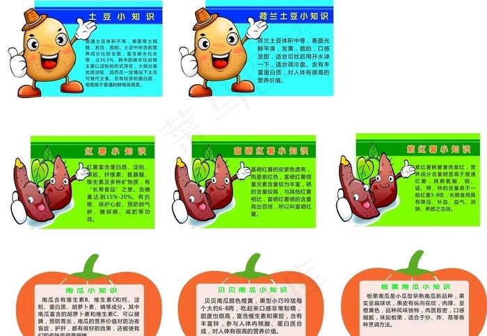 蔬菜小知识图片
