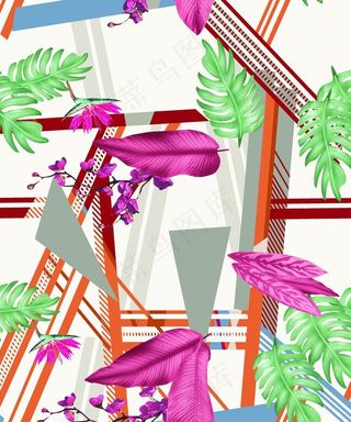 手绘 羽毛 热带叶子图片