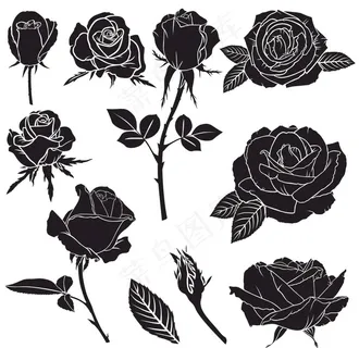 黑白线条剪影玫瑰花图案图片