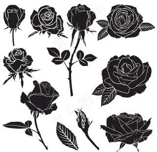 黑白线条剪影玫瑰花图案图片