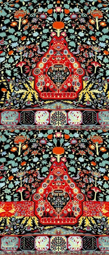 花图片