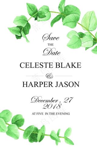 绿色叶子森系小清新图片