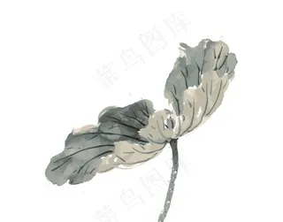 水墨风荷花图片