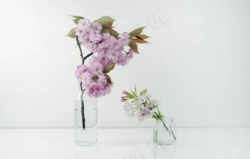 花瓶图片 花瓶图片