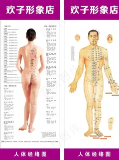 人体经络图图片