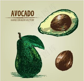 卡通牛油果图片