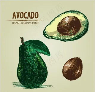 卡通牛油果图片