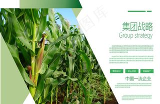 产品宣传册图片