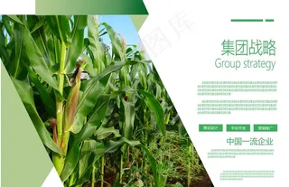 产品宣传册图片