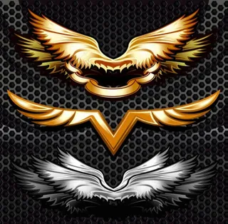 金属翅膀图片