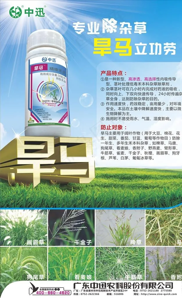 旱马图片cdr矢量模版下载