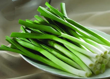 鲜蒜苗图片 鲜蒜苗图片