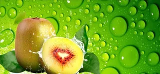 猕猴桃图片