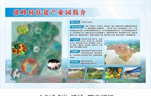 扶贫产业园简介图片