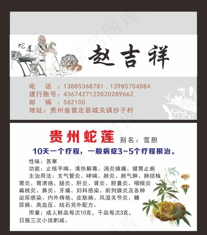 中药蛇莲图片cdr矢量模版下载
