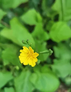 唯美图片 唯美图片