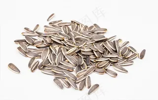 瓜子图片
