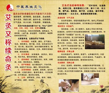 艾灸展板图片