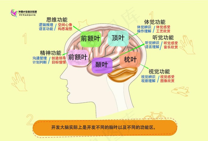 神墨教育脑力海报图图片
