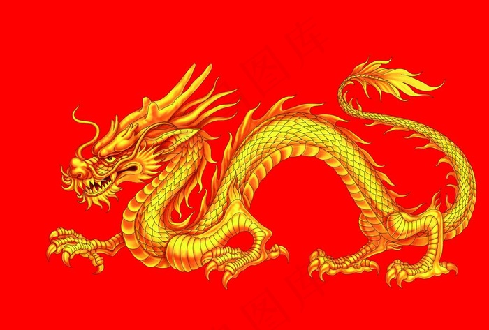 金龙图片