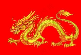 金龙图片