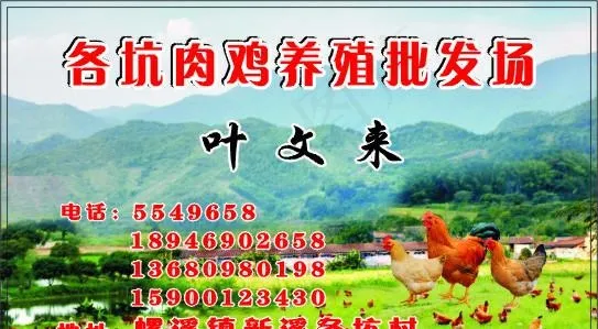 山地鸡养殖批发场图片cdr矢量模版下载