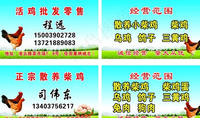 鸡子批发图片(297X210)cdr矢量模版下载