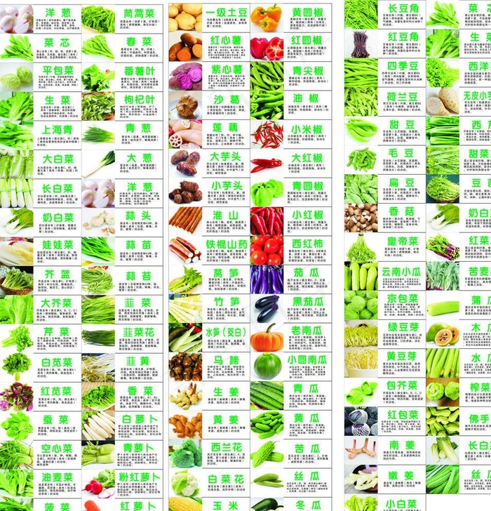 蔬菜功能大全图片