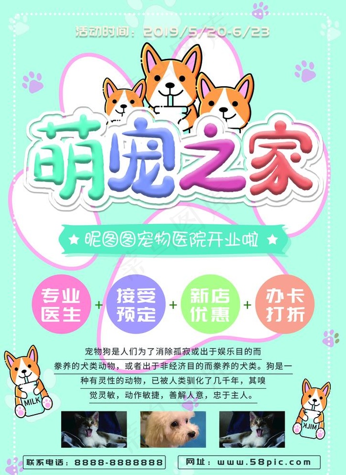 萌宠之家彩页图片