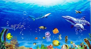 海底世界图片