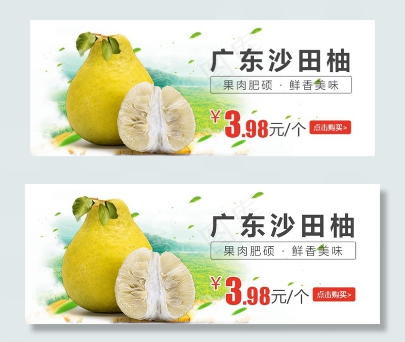 广东沙田柚banner图图片
