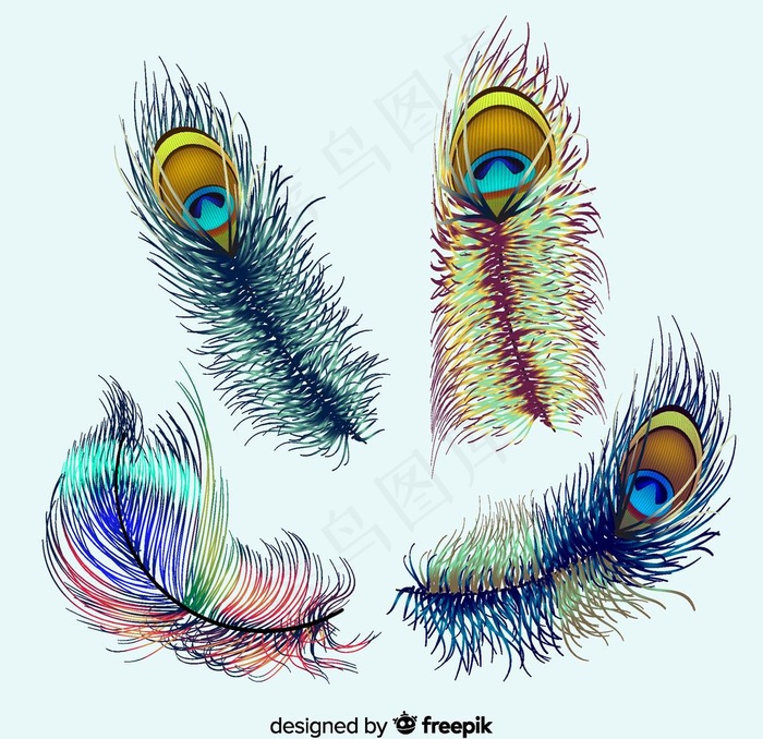4款彩绘孔雀羽毛矢量素材图片ai矢量模版下载