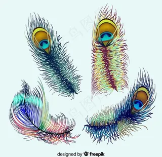 4款彩绘孔雀羽毛矢量素材图片