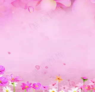 粉色背景图片