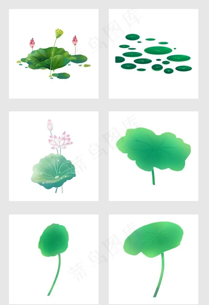 荷花荷叶图片(1026X1544(DPI:300))psd模版下载