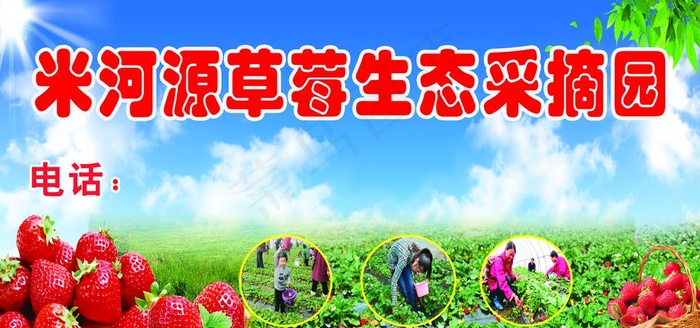 草莓采摘园图片(5906X2953(DPI:50))psd模版下载