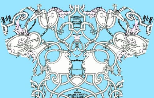 大牌 方巾 丝巾 服装 数码印图片