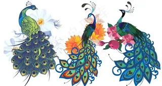 卡通花卉孔雀设计矢量素材图片