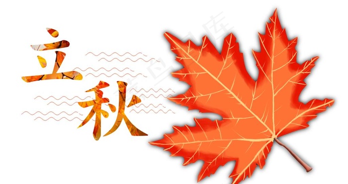立秋枫叶手绘分层图片